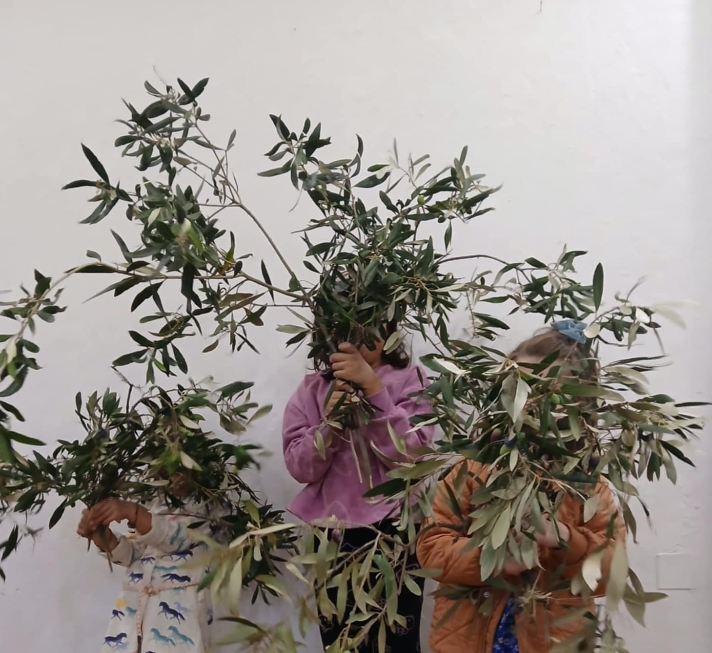 «Η Αθηνά, η ελιά και το λάδι»: Εκπαιδευτική δράση για τα παιδιά στο Πολύεδρο το Σάββατο