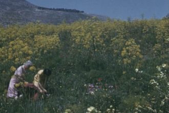 Ο Θεόδωρος Παναγόπουλος στους πέντε φιναλίστ για το βραβείο “European Short Film - Prix Vimeo”