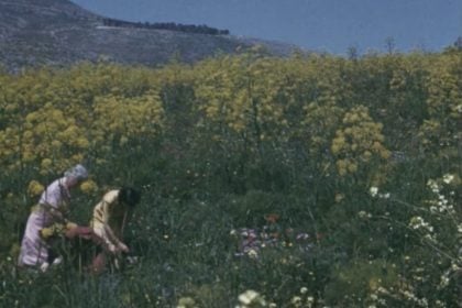 Ο Θεόδωρος Παναγόπουλος στους πέντε φιναλίστ για το βραβείο “European Short Film - Prix Vimeo”