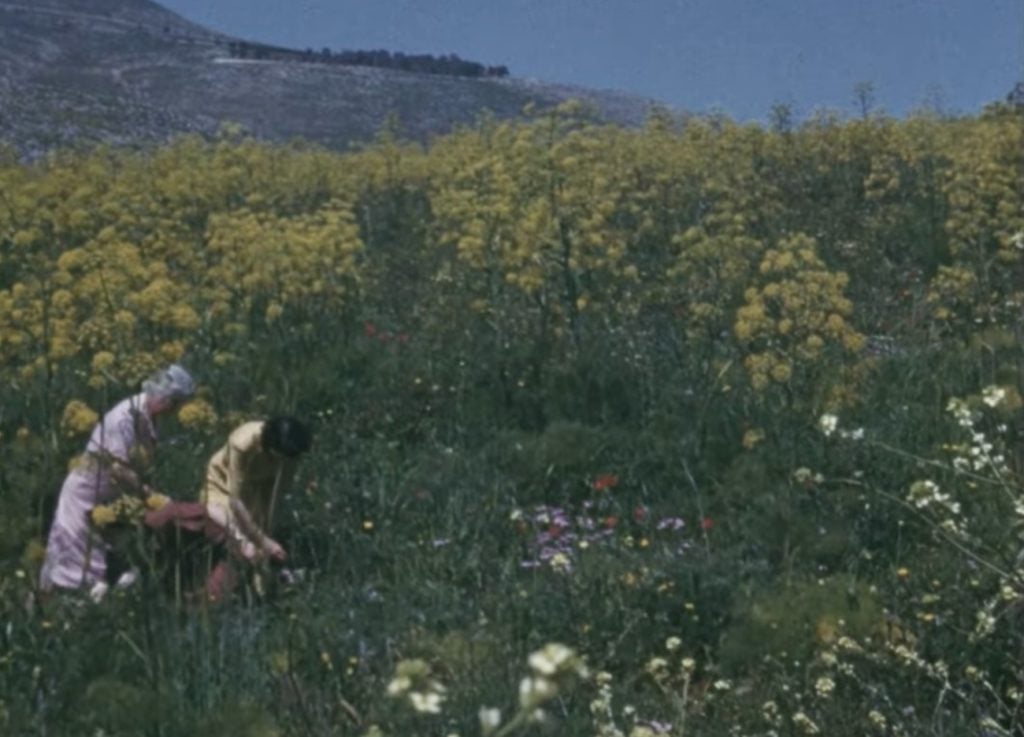 Ο Θεόδωρος Παναγόπουλος στους πέντε φιναλίστ για το βραβείο “European Short Film - Prix Vimeo”