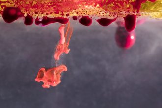 Το ιατρικό θαύμα του «χρυσού αίματος»: Η πιο σπάνια ομάδα και πώς θα μπορούσε να σώσει ζωές