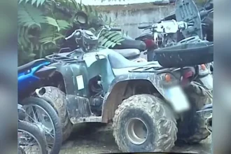 Αχαΐα: Συγκλονίζει ο 25χρονος θείος του 3χρονου που σκοτώθηκε σε τροχαίο με γουρούνα - «Μακάρι να ήμουν εγώ»