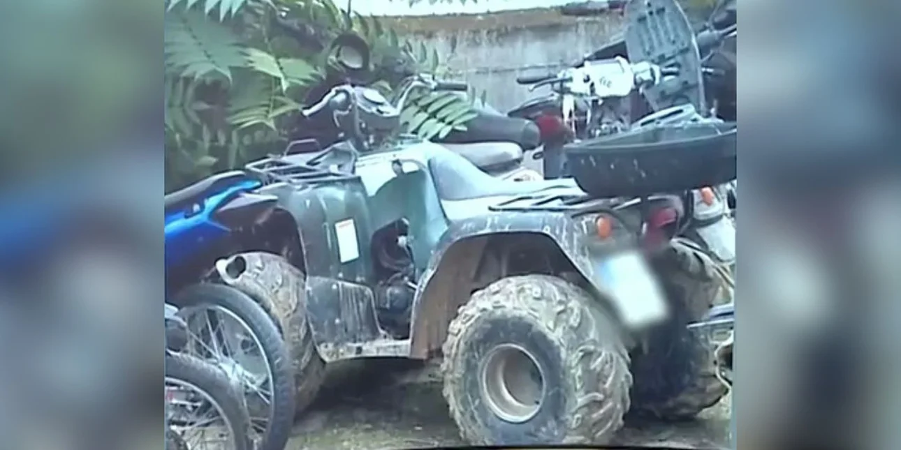 Αχαΐα: Συγκλονίζει ο 25χρονος θείος του 3χρονου που σκοτώθηκε σε τροχαίο με γουρούνα - «Μακάρι να ήμουν εγώ»