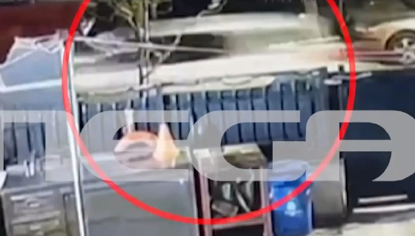 Συνελήφθη γιος γνωστού πολιτικού μετά από περιπετειώδη καταδίωξη στη Νέα Ερυθραία - Βίντεο ντοκουμέντο