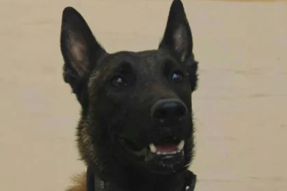 Πέθανε ο Echo που είχε βρει νεκρό τον Μπάμπη Κούτσικο στο Μεσολόγγι