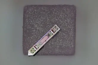 Εμφύτευμα εγκεφάλου μικρότερο από έναν κόκκο αλατιού κατέγραψε νευρική δραστηριότητα για έναν ολόκληρο χρόνο