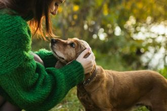 Τι αισθάνονται οι σκύλοι όταν τους χαϊδεύει ο άνθρωπός τους
