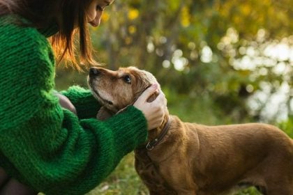 Τι αισθάνονται οι σκύλοι όταν τους χαϊδεύει ο άνθρωπός τους
