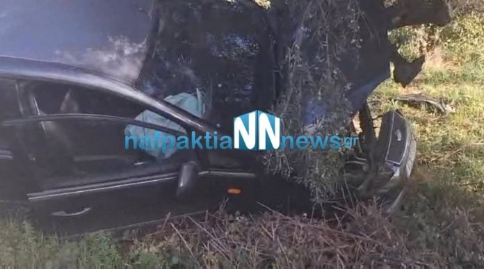 Ναύπακτος: Τροχαίο ατύχημα στο Ξηροπήγαδο – Ι.Χ. “καρφώθηκε” σε ελιά (ΒΙΝΤΕΟ)