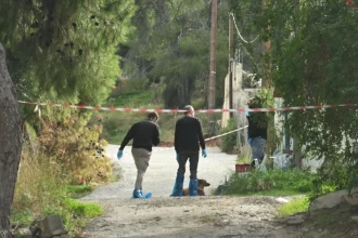 Ανατροπή με την δολοφονία της 75χρονης στη Σαλαμίνα - Ομολόγησε η νύφη της