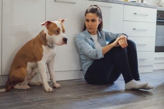 Δείτε πώς θα καταλάβετε ότι ο σκύλος σας ζηλεύει και δεν θέλει τον νέο σας σύντροφο