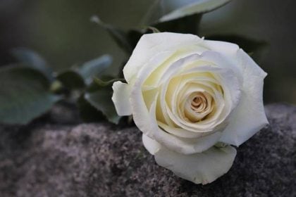 Πάτρα: Κηδεύεται την Τετάρτη η Μαρίνα Κατσιλα