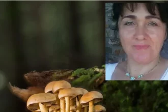 Σε κρίσιμη κατάσταση το ζευγάρι που δηλητηριάστηκε από μανιτάρια στην Έδεσσα - Η ανάρτηση του γιου τους