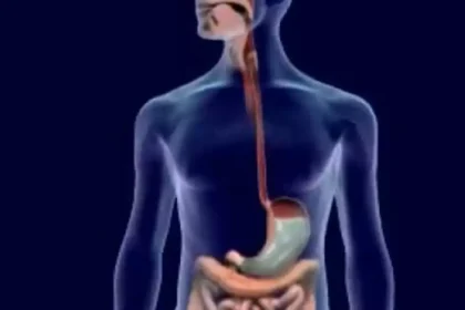 Πεπτικό σύστημα πάντα δυνατό και σε φόρμα