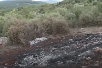 Βοιωτία: Δύο ημέρες δεμένος πισθάγκωνα μέσα στο αυτοκίνητο ήταν το απανθρακωμένο θύμα – Με πλαστές πινακίδες το όχημα