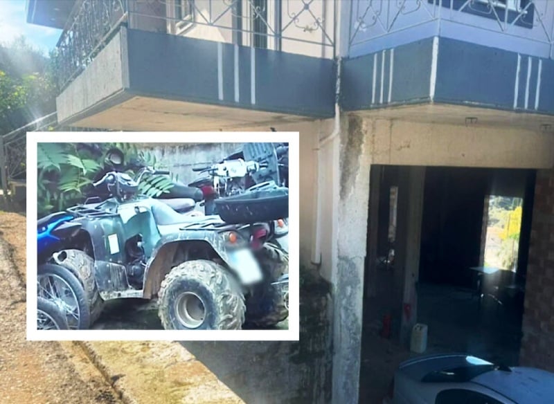 Αχαΐα: Σε στάνη είχαν κρύψει την μοιραία γουρούνα οι συγγενείς του 25χρονου - Ο πατέρας του 3χρονου υπέδειξε το σημείο