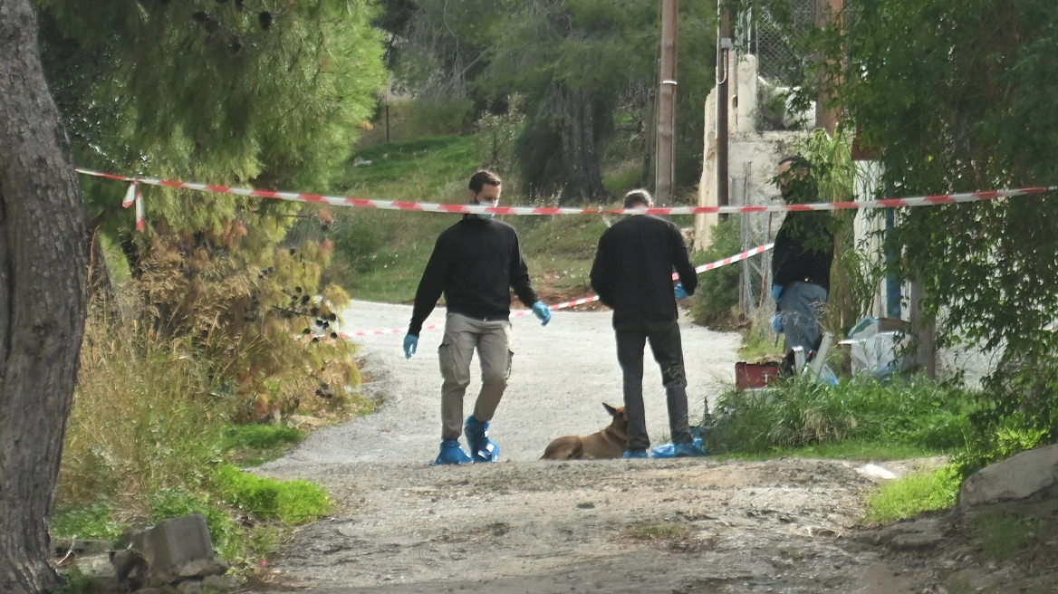 Σαλαμίνα: Η 75χρονη ξεψύχησε λέγοντας το «πάτερ ημών» – Αποκαλούσε τη δολοφόνο της «αγόρι μου» 