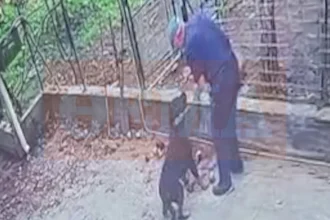 Μάχη για τη ζωή του δίνει ο 76χρονος που του επιτέθηκε ροτβάιλερ