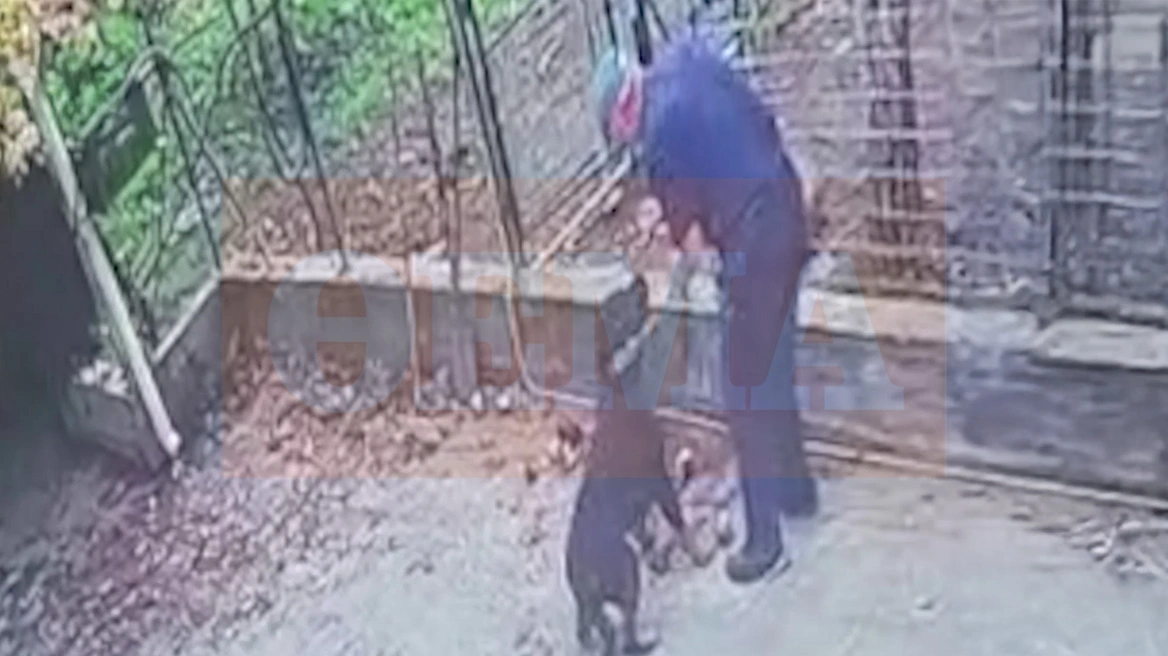 Μάχη για τη ζωή του δίνει ο 76χρονος που του επιτέθηκε ροτβάιλερ