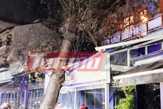 Κακοκαιρία: Τεράστιος πλάτανος έπεσε σε επιχείρηση εξαιτίας των σφοδρών ανέμων - Ευτυχώς ήταν κλειστή! (ΦΩΤΟ - ΒΙΝΤΕΟ)