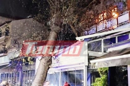 Κακοκαιρία: Τεράστιος πλάτανος έπεσε σε επιχείρηση εξαιτίας των σφοδρών ανέμων - Ευτυχώς ήταν κλειστή! (ΦΩΤΟ)