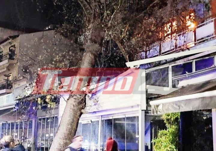 Κακοκαιρία: Τεράστιος πλάτανος έπεσε σε επιχείρηση εξαιτίας των σφοδρών ανέμων - Ευτυχώς ήταν κλειστή! (ΦΩΤΟ - ΒΙΝΤΕΟ)
