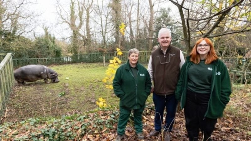 Ο ζωολογικός κήπος του Δουβλίνου πραγματοποίησε την πρώτη επέμβαση καταρράκτη σε ιπποπόταμο