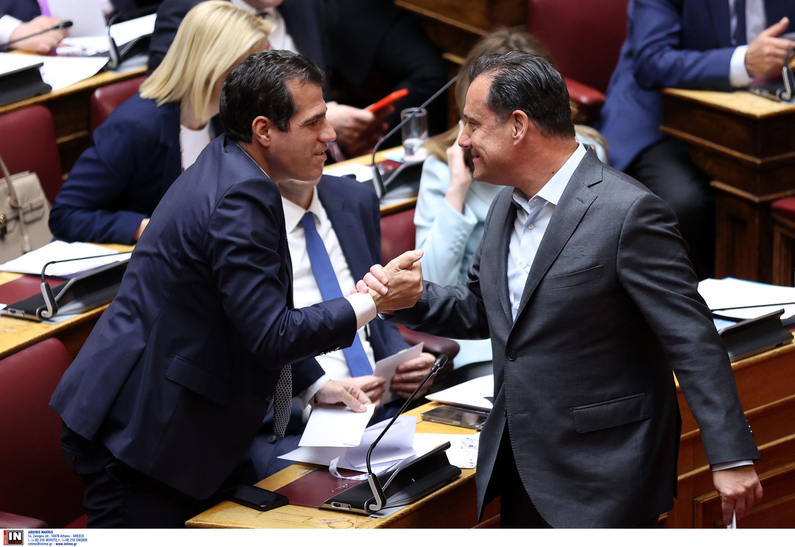 Γεωργιάδης και Πλεύρης για Διεθνή Αμνηστία και Δικαστήριο της Χάγης: «Αντιδυτικά και αριστεροκρατούμενα όργανα»