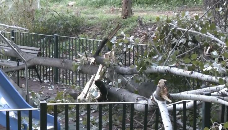 Τεράστιο δέντρο ξεριζώθηκε και έπεσε μέσα σε παιδική χαρά