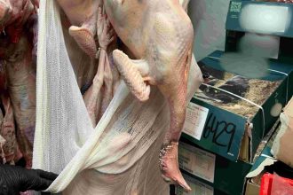 Περιφέρεια Αττικής: Κατασχέθηκαν 12 τόνοι ακατάλληλων προϊόντων - ΦΩΤΟ