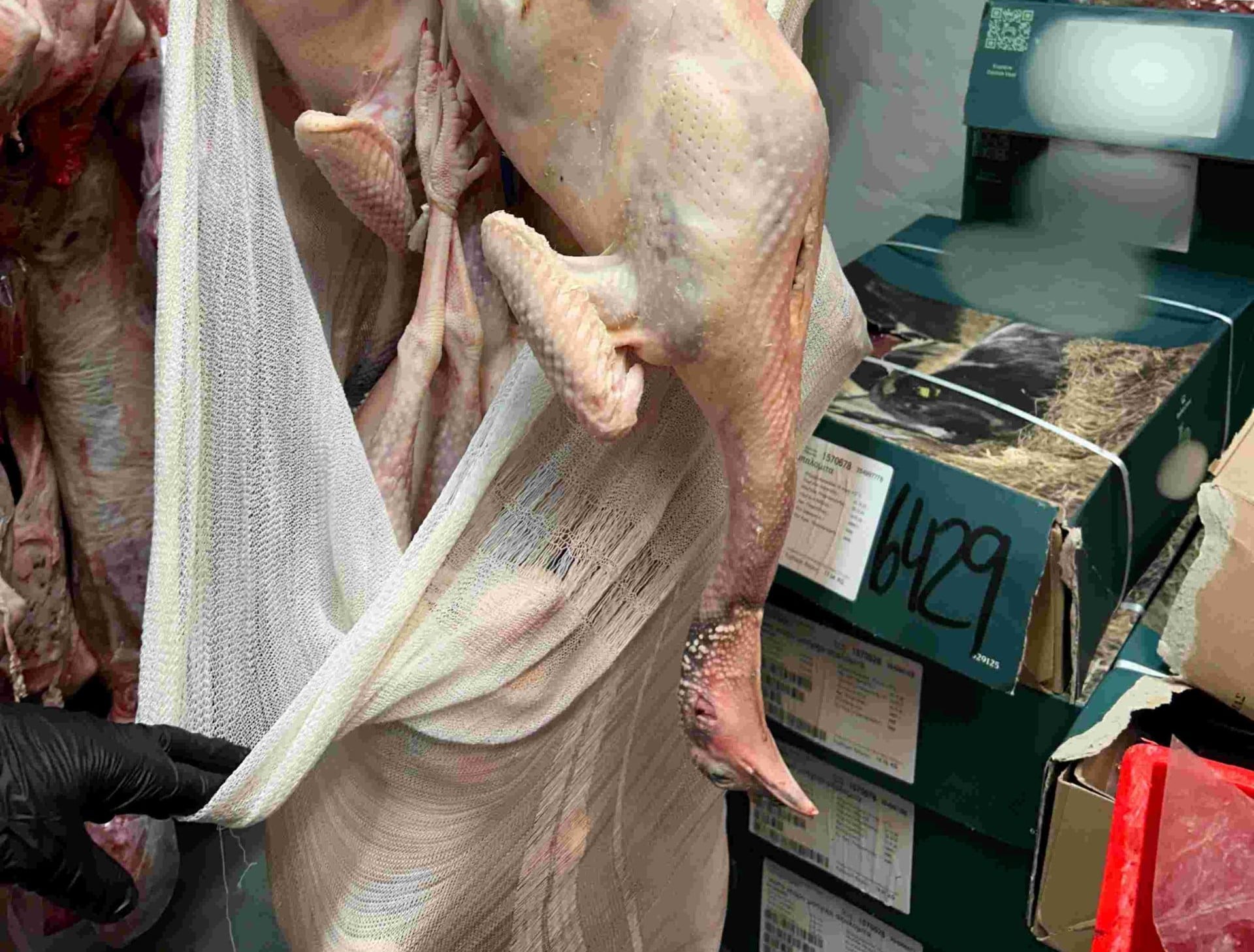 Περιφέρεια Αττικής: Κατασχέθηκαν 12 τόνοι ακατάλληλων προϊόντων - ΦΩΤΟ