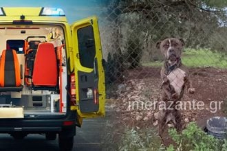 «Μου έφαγε το παιδί μου», λέει συντετριμμένος ο πατέρας του αγοριού, που κατασπάραξε Πίτμπουλ στη Ζάκυνθο