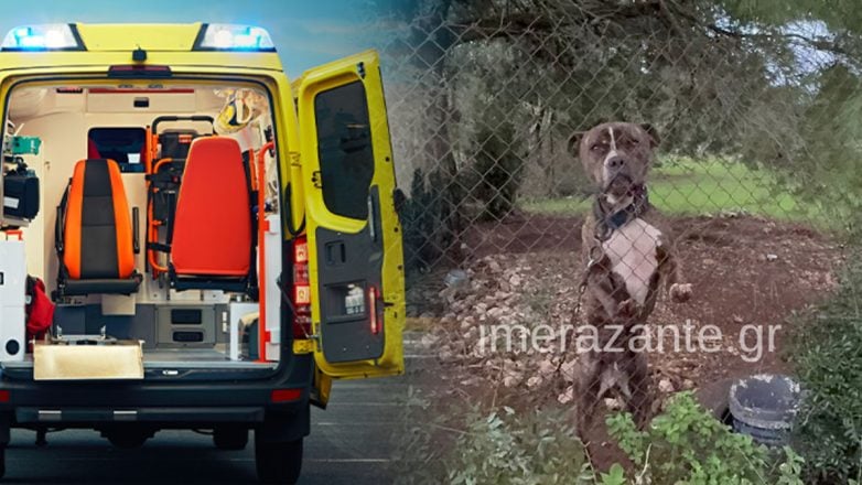 «Μου έφαγε το παιδί μου», λέει συντετριμμένος ο πατέρας του αγοριού, που κατασπάραξε Πίτμπουλ στη Ζάκυνθο