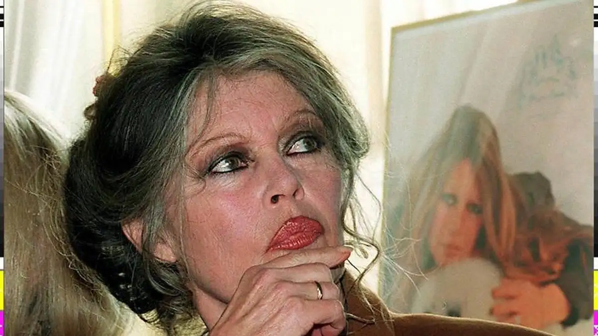 Μπριζίτ Μπαρντό: Η στροφή προς τον ακτιβισμό, η αποστασιοποίηση από τον φεμινισμό και η Μαρίν Λε Πεν ως «σύγχρονη Ιωάννα της Λωραίνης»