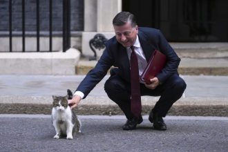 Γιατί οι γάτες νιαουρίζουν περισσότερο στους άντρες