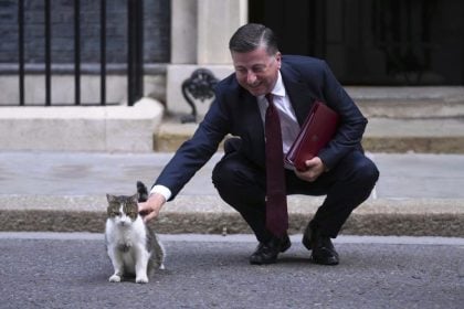 Γιατί οι γάτες νιαουρίζουν περισσότερο στους άντρες