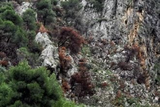 Σίκινος: Εντοπίστηκε ανθρώπινος σκελετός μίας εκ των δύο Γαλλίδων που αγνοούνταν από το καλοκαίρι του 2024