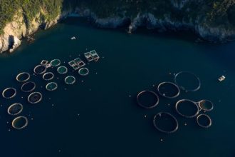 Νέο πρόγραμμα ύψους 26 εκατ. ευρώ για μεταποίηση προϊόντων αλιείας και υδατοκαλλιέργειας