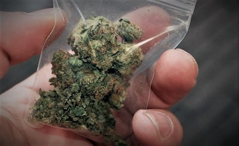 Αχαΐα: Χασίς, καπνός και μαχαίρι σε οικία και αποθήκη 70χρονου