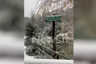 Η Πάρνηθα ντύθηκε στα «λευκά»: Διακόπηκε η κυκλοφορία κοντά στο καζίνο