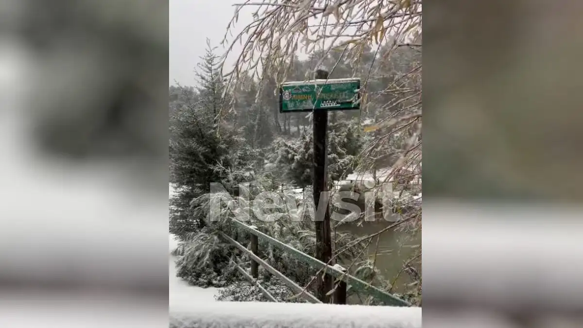 Η Πάρνηθα ντύθηκε στα «λευκά»: Διακόπηκε η κυκλοφορία κοντά στο καζίνο