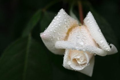 Δυτ. Ελλάδα: Βαρύ πένθος για το χαμό 40χρονου