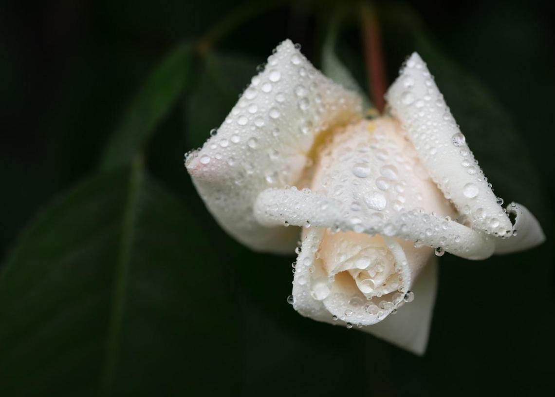 Δυτ. Ελλάδα: Βαρύ πένθος για το χαμό 40χρονου