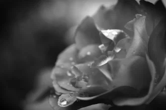 Αγρίνιο: «Έφυγε» αιφνίδια 50χρονος αγρότης