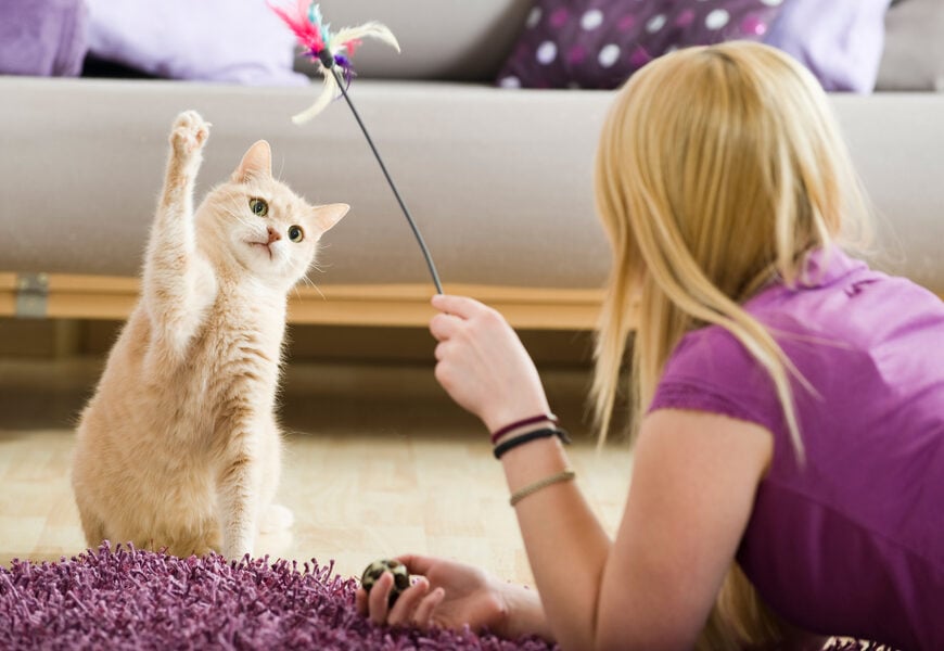 Ο απόλυτος οδηγός για να αφήσετε τη γάτα στο σπίτι με κάποιον να τη φροντίζει