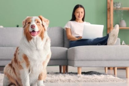 Τι δείχνει η σχέση με τον σκύλο μας για τoν χαρακτήρα μας