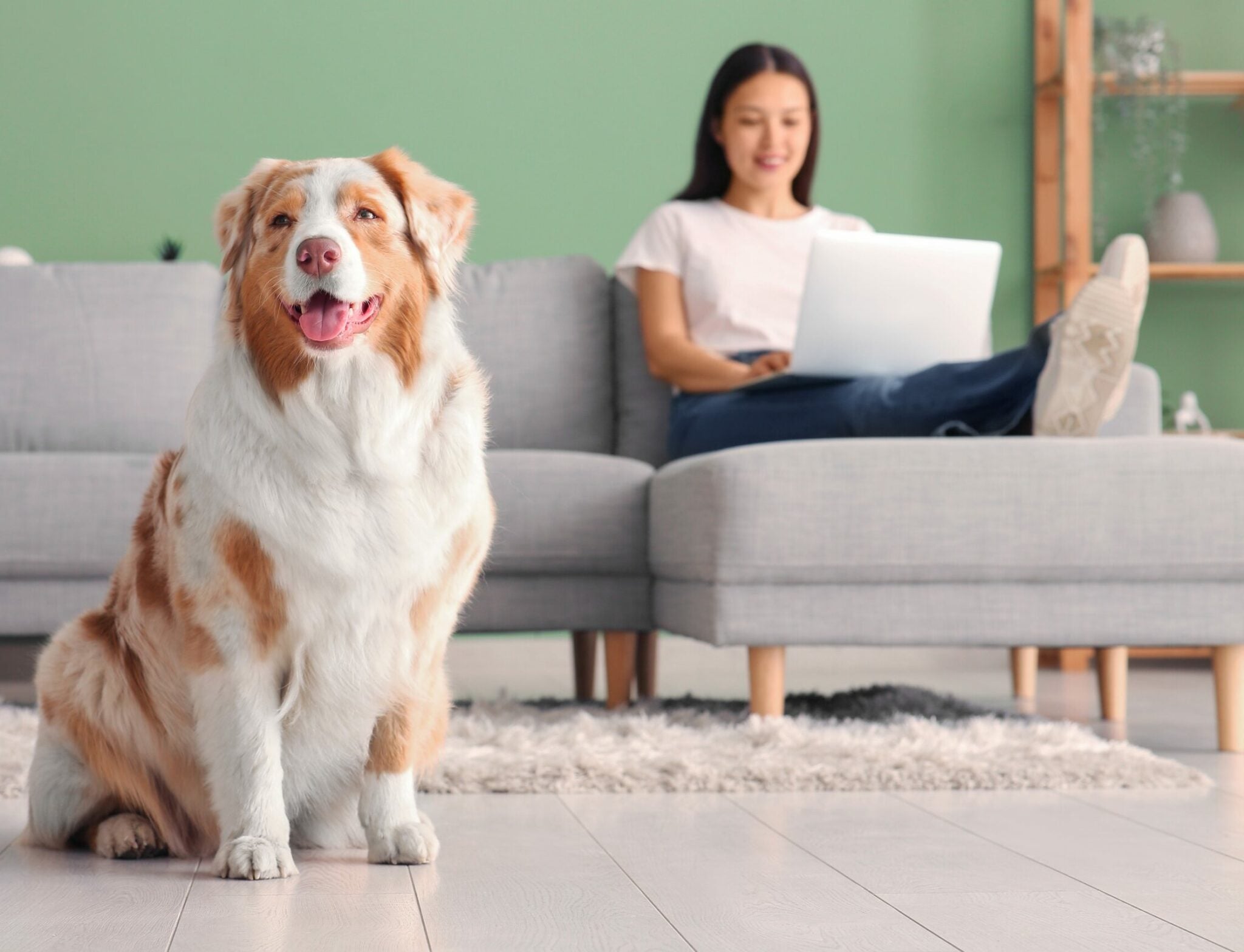 Τι δείχνει η σχέση με τον σκύλο μας για τoν χαρακτήρα μας