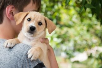 Θέλετε να υιοθετήσετε ένα κουτάβι; Πώς θα καταλάβετε πόσο μεγάλο σε μέγεθος θα γίνει