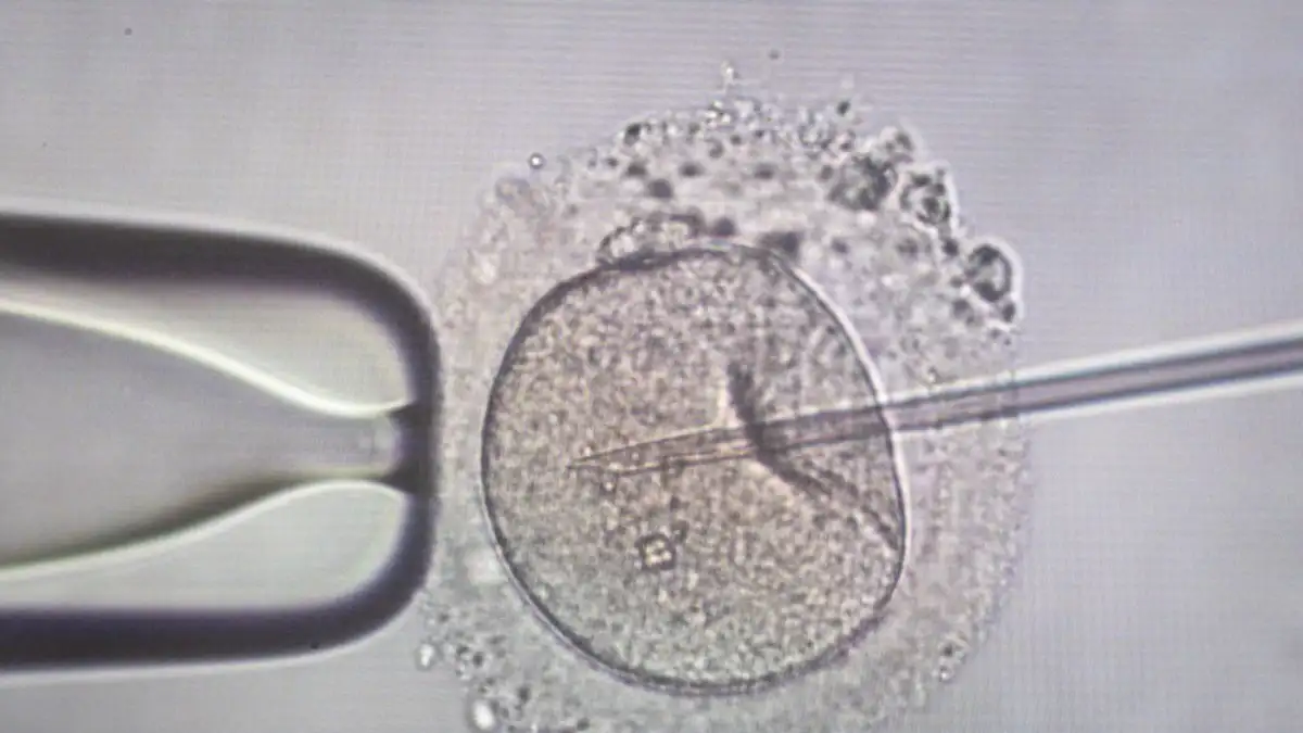 Αγωνία για 11 οικογένειες στην Ελλάδα που έχουν αποκτήσει παιδιά από τον Δανό δότη