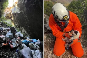 Κτηνωδία: Πέταξαν κουτάβια σε γκρεμό 20 μέτρων!